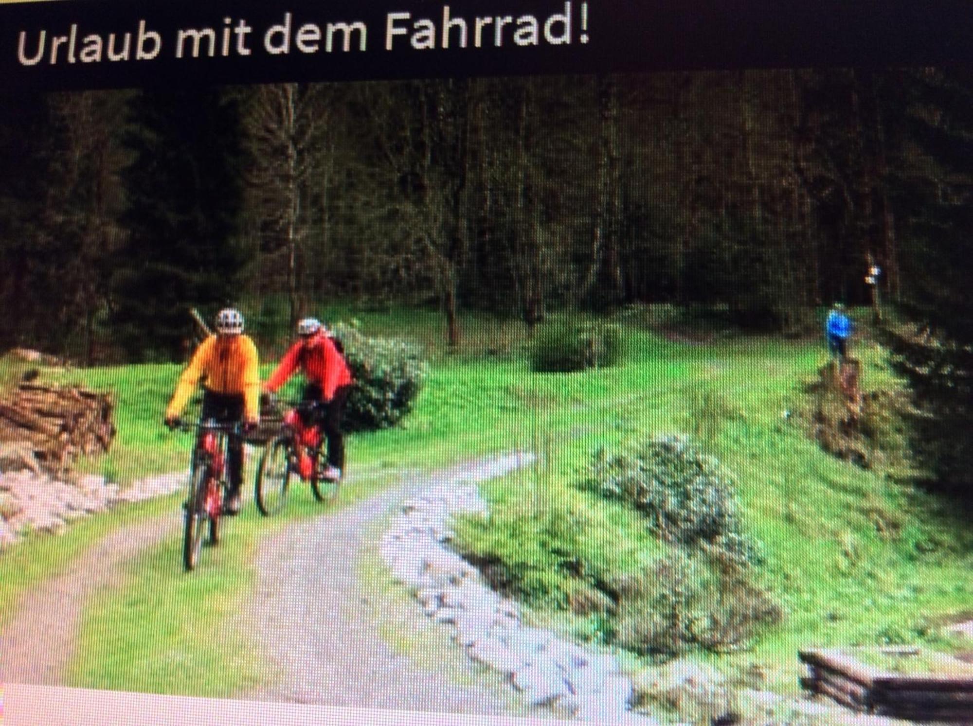 Fewo Romy Braunlage Exterior foto
