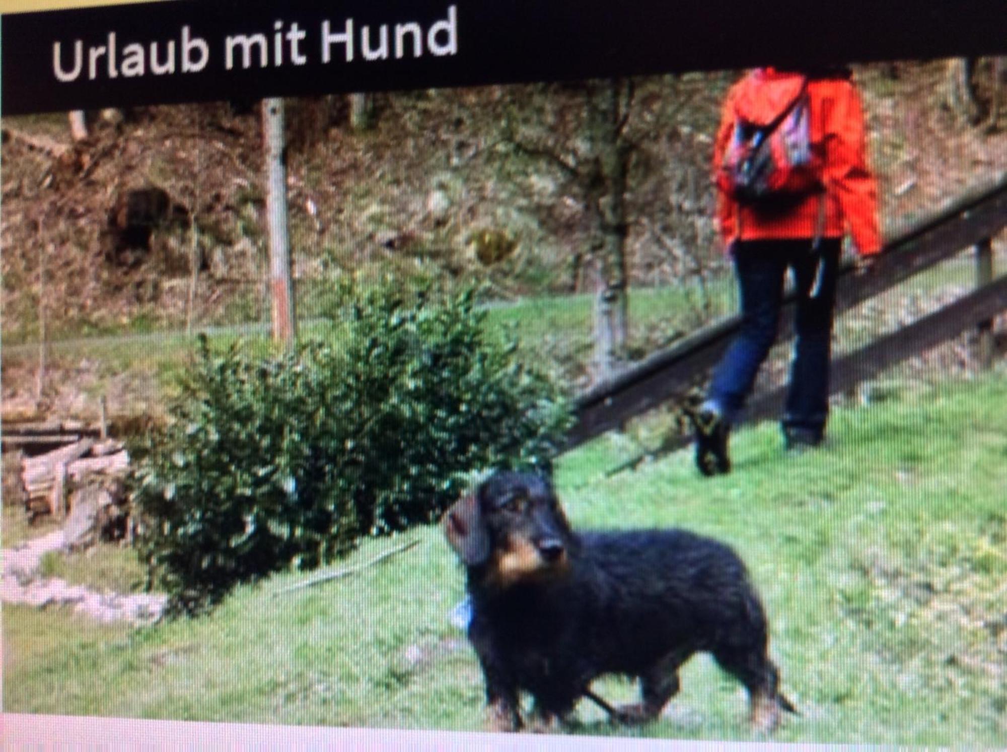 Fewo Romy Braunlage Exterior foto
